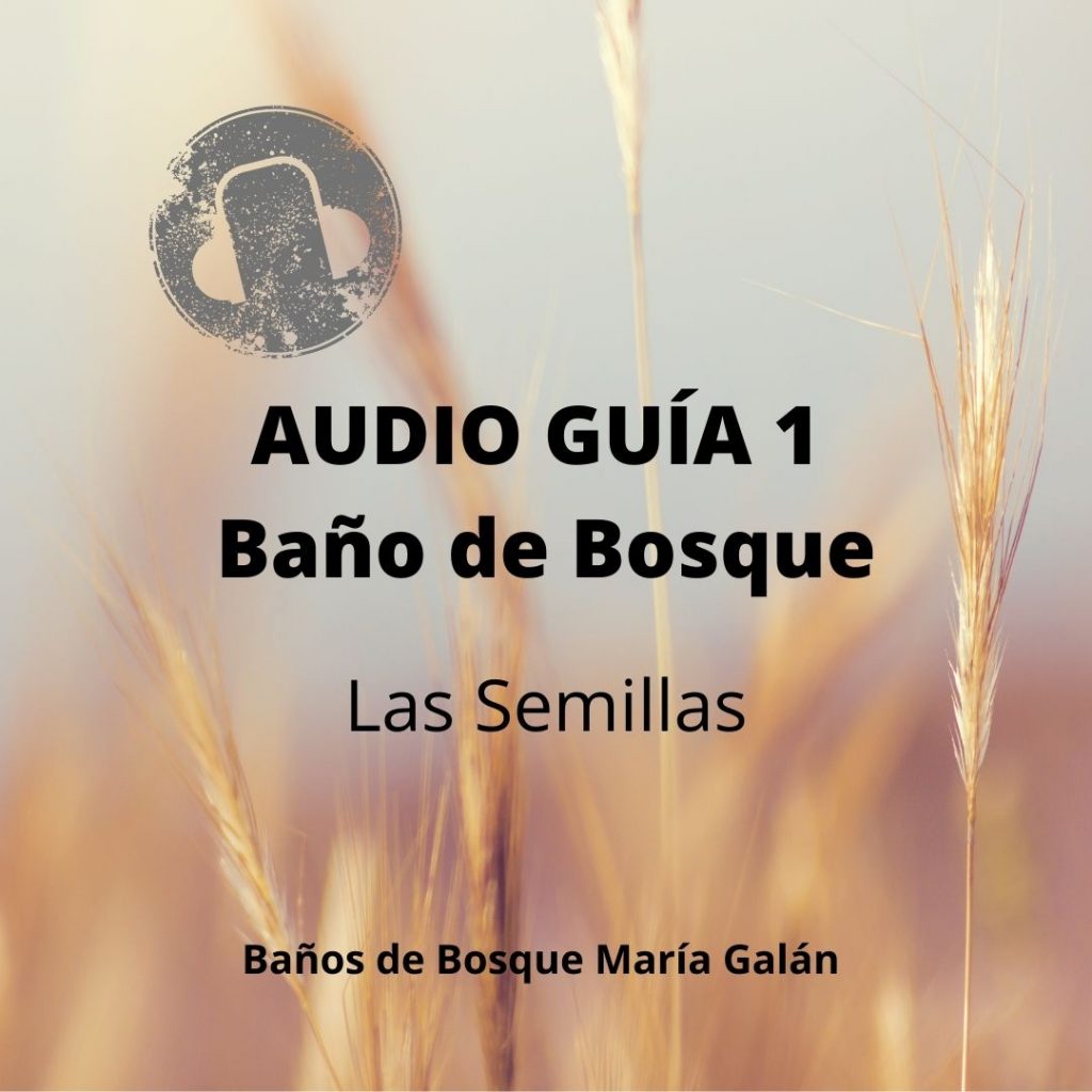 AudioGuia de Baños de Bosque 1
Shinrinyoku
España
Barcelona