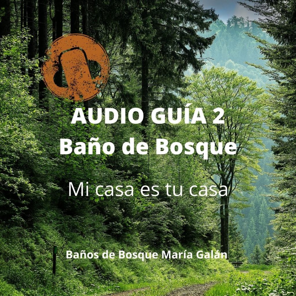 AudioGuia de Baños de Bosque 2
Shinrinyoku
España
Barcelona