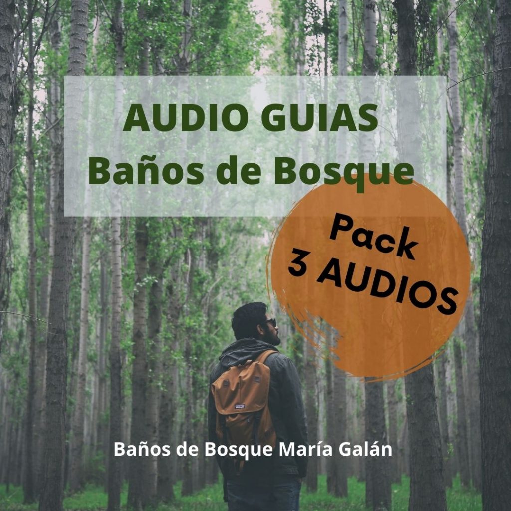 AudioGuia de Baños de Bosque PACK
Shinrinyoku
España
Barcelona