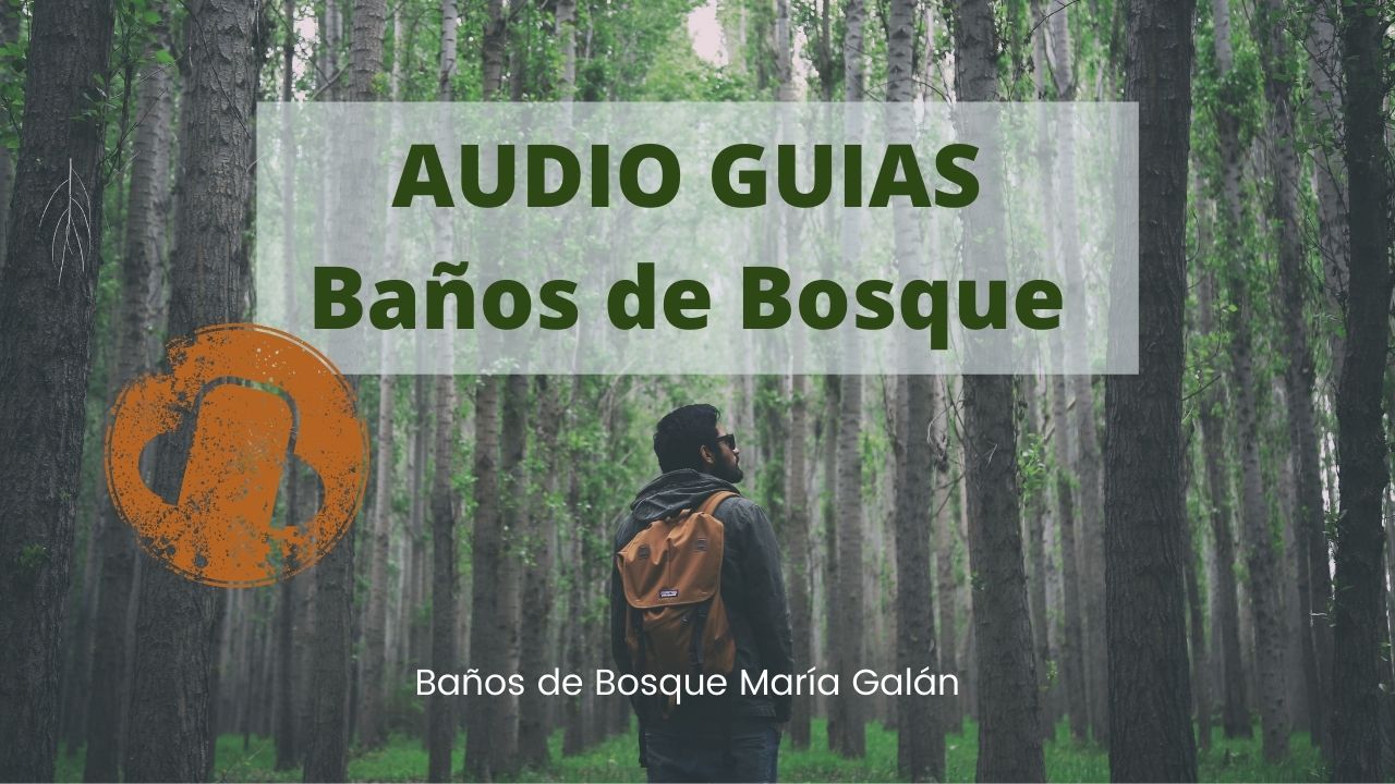 AudioGuias Baños de Bosque