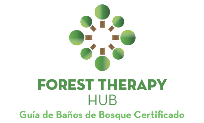 forest therapy hub